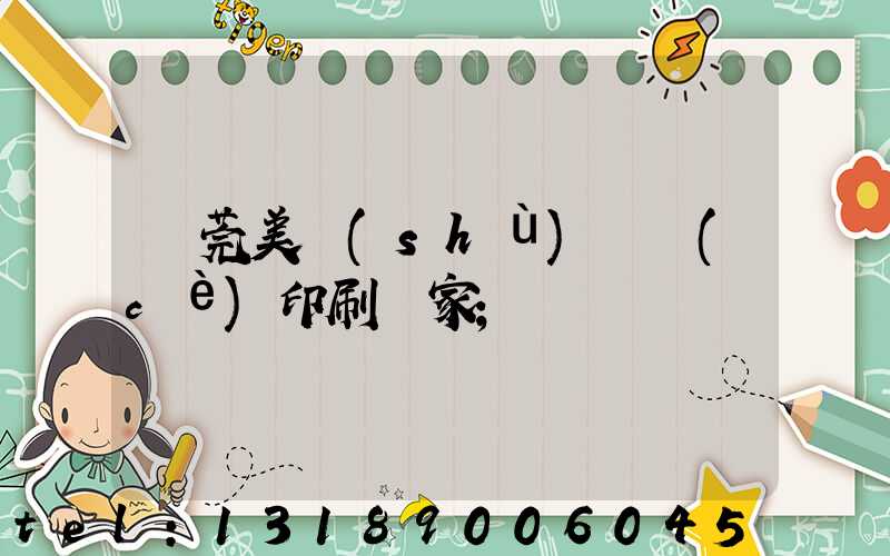 東莞美術(shù)畫冊(cè)印刷廠家