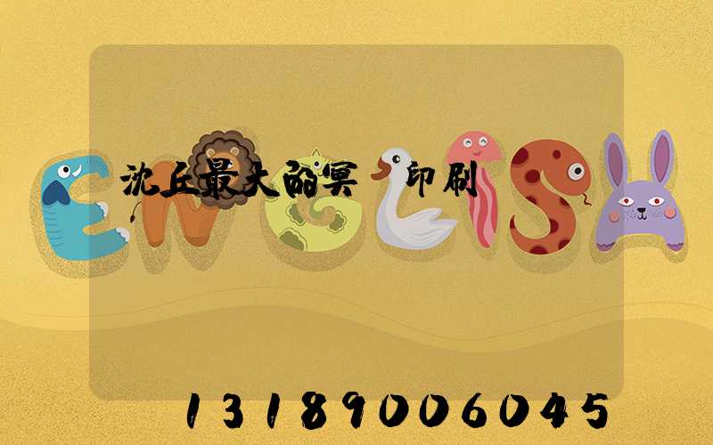 沈丘最大的冥幣印刷廠