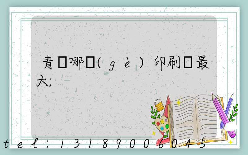 青島哪個(gè)印刷廠最大